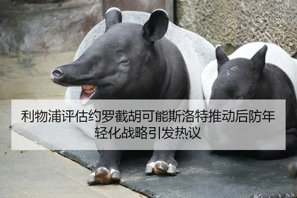 li-wu-pu-ping-gu-yue-luo-jie-hu-ke-neng-si-luo-te-tui-dong-hou-fang-nian-qing-hua-zhan-lve-yin-fa-re-yi-2-883.jpg
